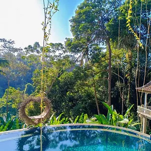 Homestay Made Punia's Jungle